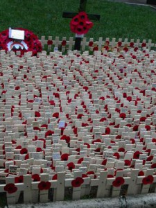 Westminsterabbeypoppies