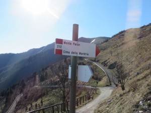 IMG_1130